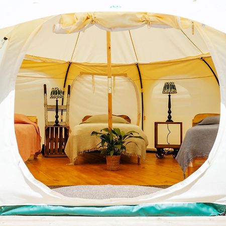 Luxury Glamping Retreat In Battle Villa Luaran gambar