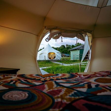 Luxury Glamping Retreat In Battle Villa Luaran gambar