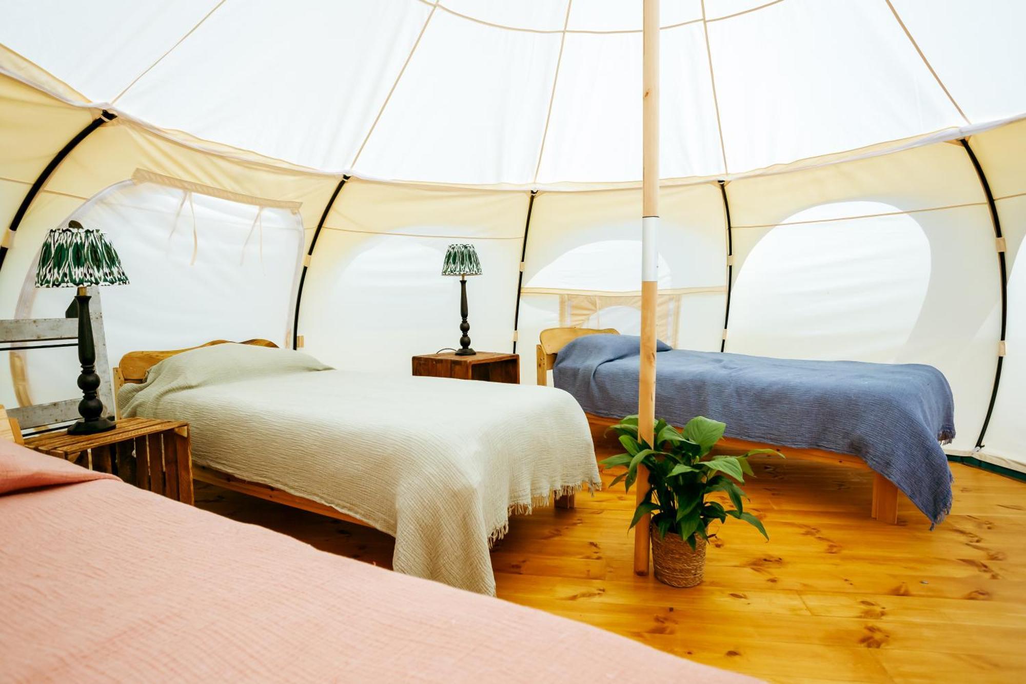 Luxury Glamping Retreat In Battle Villa Luaran gambar